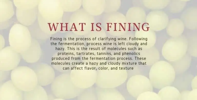 Is Wine Vegan - What is Fining