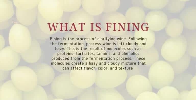 Is Wine Vegan - What is Fining