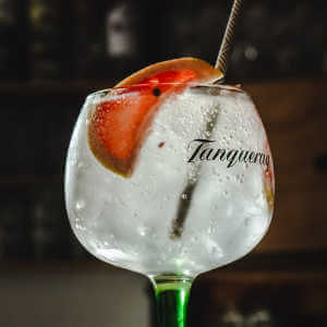 Vegan Gin Cocktails - Tanqueray