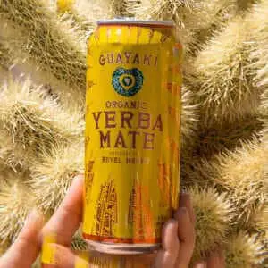 Vegan Energy Drinks - Yerba Mate