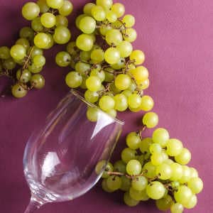 Best Vegan Wines - White Wines