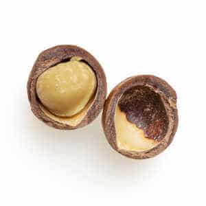 Macadamia Milk - Macadamia Nut