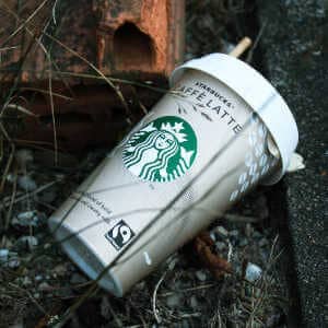 Are Starbucks Canned Drinks Vegan - canned drink